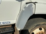 General Appearance with Paint