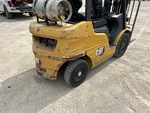 General Appearance with Paint