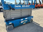 General Appearance with Paint
