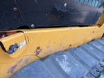 General Appearance with Paint