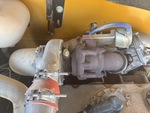 Engine with Exhaust System