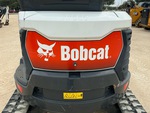 General Appearance with Pintura