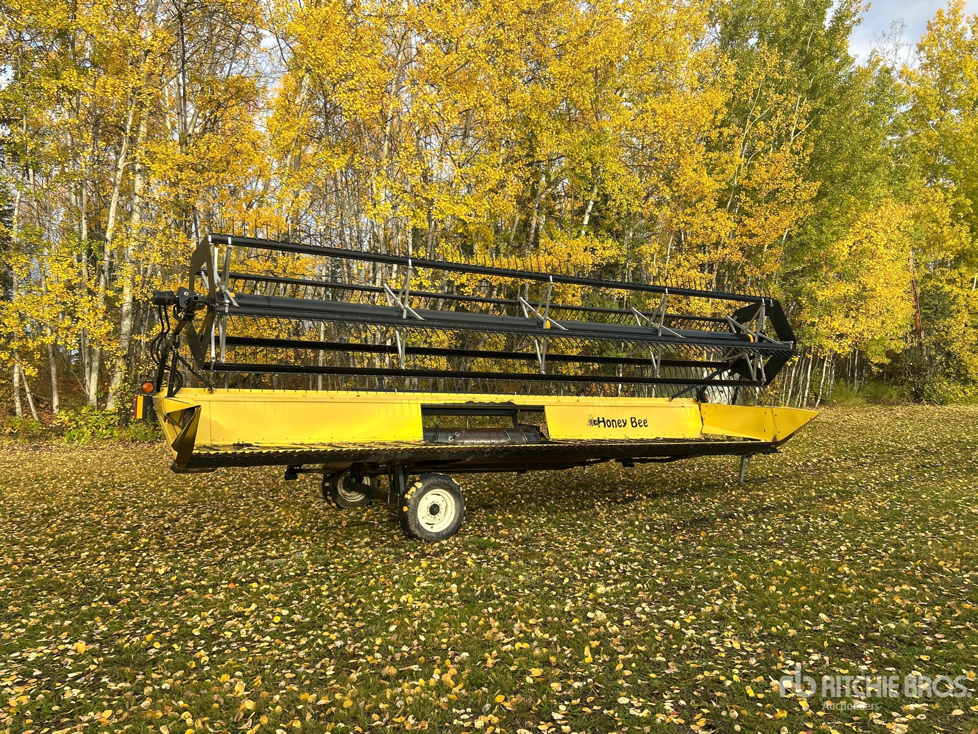 2003 Honey Bee SP25
