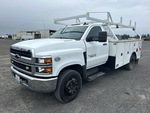 General Appearance with Featured Photo