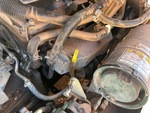 Engine with Exhaust System