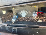 Trailer with Power Receptacle Functional