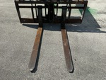 Specialty with Forche