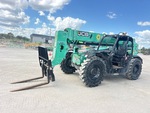 General Appearance with Paint