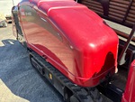 General Appearance with Paint