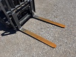 Chassis with Forks
