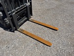 Chassis with Forks