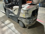 General Appearance with Paint