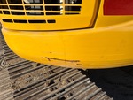 General Appearance with Pintura