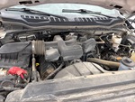 Moteur with