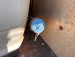 Engine with DEF / AdBlue Tank