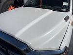 General Appearance with Paint