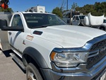General Appearance with Paint