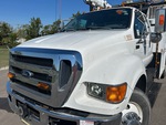 General Appearance with Paint