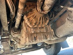 Underbody with Transmission