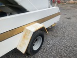 General Appearance with Paint