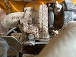 Engine with Exhaust System