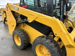 General Appearance with Paint