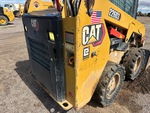General Appearance with Paint