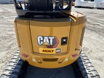 General Appearance with Paint