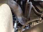 Engine with Exhaust System