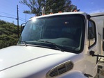 General Appearance with Glass