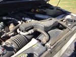 Silnik with Cooling System Leaks