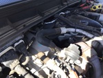Silnik with Exhaust System