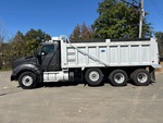 General Appearance with Paint