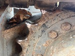 Undercarriage with