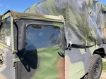 General Appearance with Paint