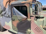 General Appearance with Paint