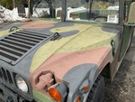 General Appearance with Paint