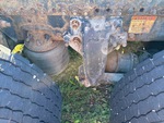 4 Underbody - Truck with