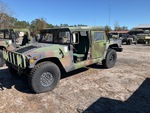 General Appearance with Paint