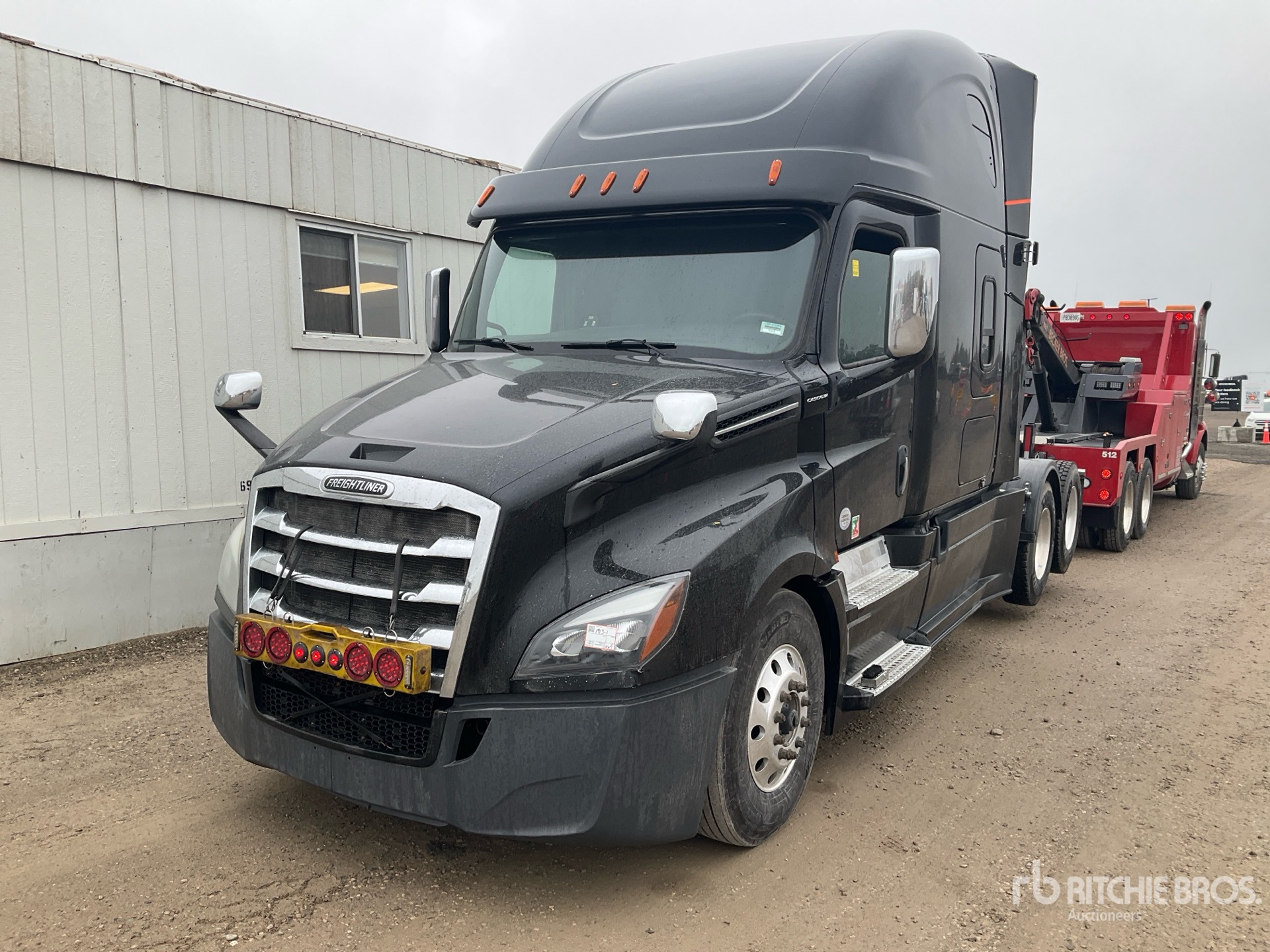 2019 Freightliner CASCADIA 126