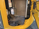 Engine with Radiator