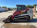 General Appearance with Paint