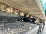 Rubber Track Undercarriage with Rubber Belt Drive Lugs