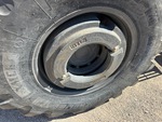 Specialty with Przeciwwagi