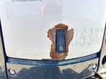 General Appearance with Pintura