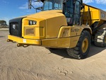 General Appearance with Paint