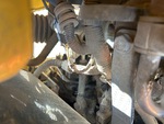 Engine with Exhaust System