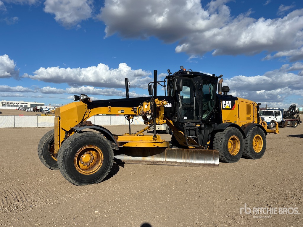 General Appearance with Spin