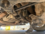 Engine with Oil Leaks