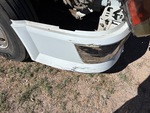 General Appearance with Peinture